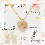 ペットの毛 世の中に一つだけ オーダーメイド ハンドメイド レジンネックレス