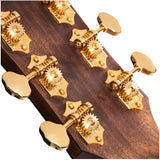 Cort アコースティックギター Gold-OC6 Bocote