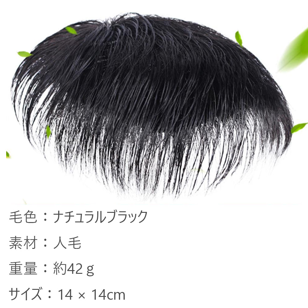 男性用 部分ウィッグ かつら ポイントウィッグ 部分かつら メンズ 